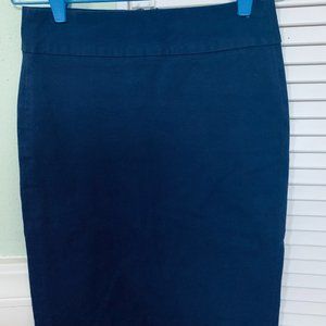 Banana Republic Blue Skirt Size 0